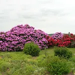 Prázdninový dům Des Pres Berthe