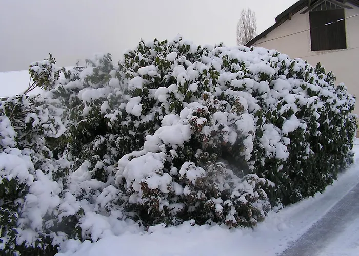 Prázdninový dům Des Pres Berthe