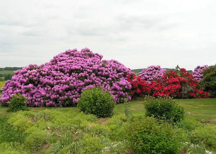 Prázdninový dům Des Pres Berthe
